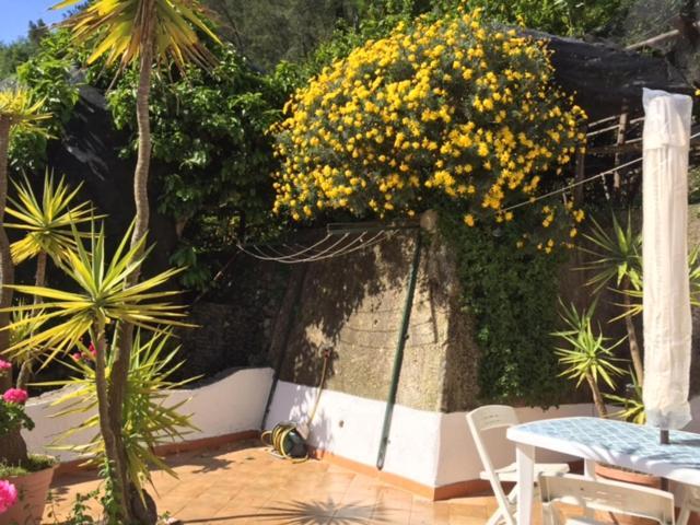 Lemon Garden House Apartment ไมยอรี ภายนอก รูปภาพ