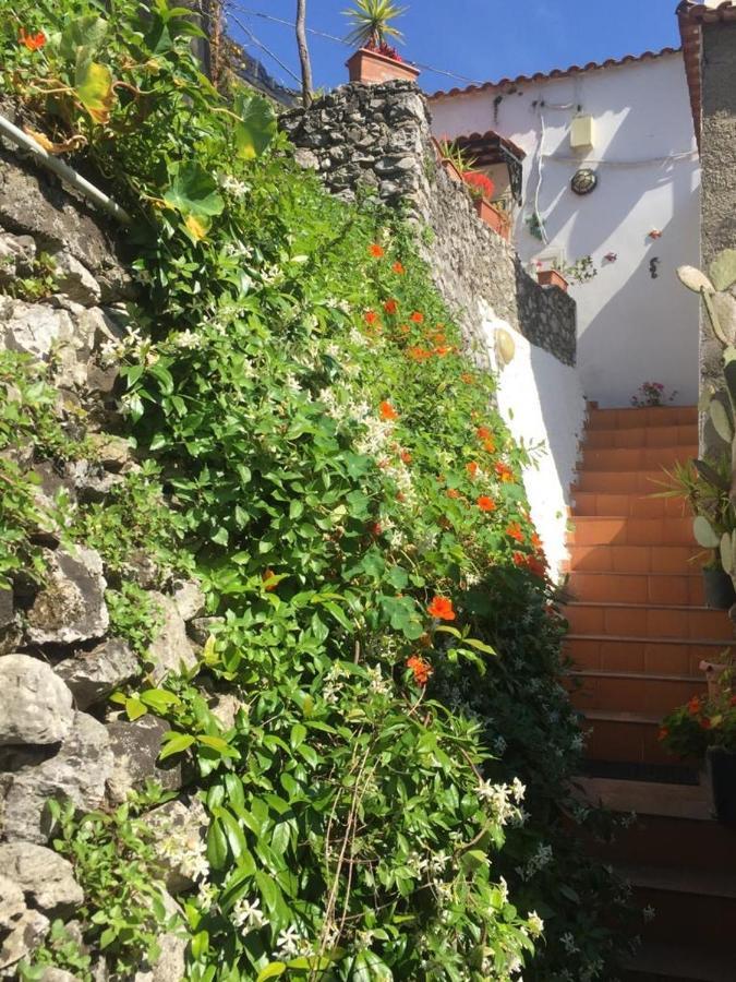 Lemon Garden House Apartment ไมยอรี ภายนอก รูปภาพ